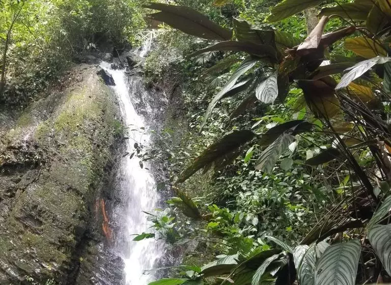 ホテル Waterfall El Paraíso   Cabañas, Jacuzzi, Piscina Y Cascada En Medio De La Naturaleza