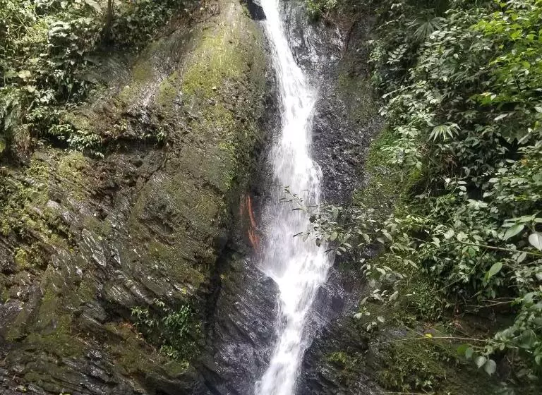 ホテル Waterfall El Paraíso   Cabañas, Jacuzzi, Piscina Y Cascada En Medio De La Naturaleza