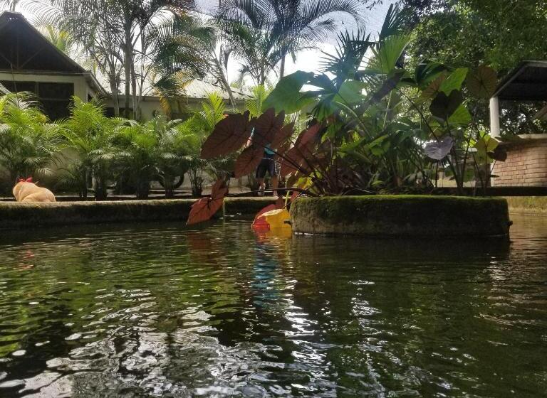فندق Waterfall El Paraíso   Cabañas, Jacuzzi, Piscina Y Cascada En Medio De La Naturaleza