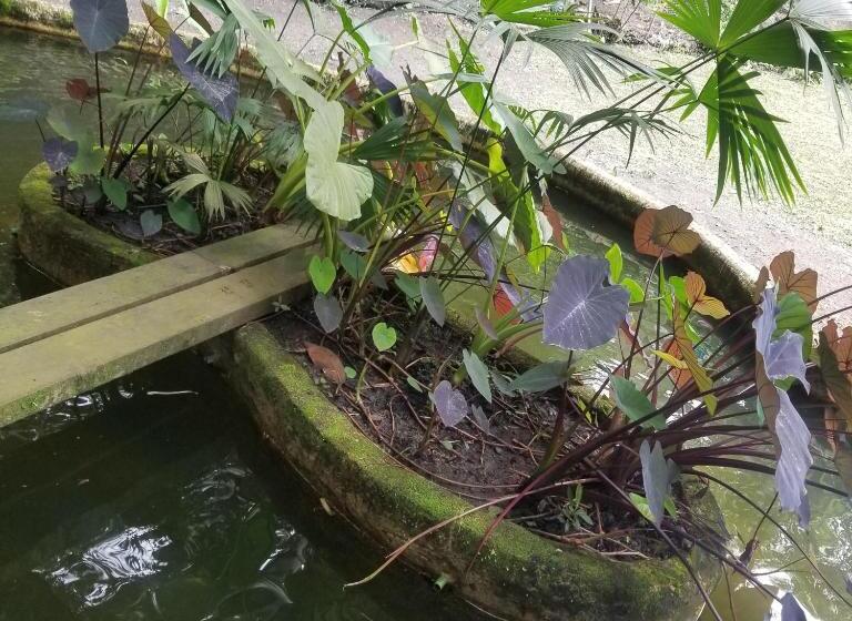 فندق Waterfall El Paraíso   Cabañas, Jacuzzi, Piscina Y Cascada En Medio De La Naturaleza