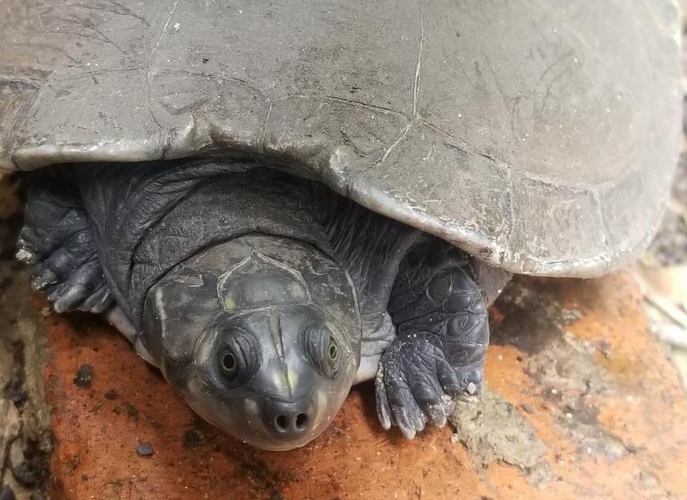 فندق Waterfall El Paraíso   Cabañas, Jacuzzi, Piscina Y Cascada En Medio De La Naturaleza