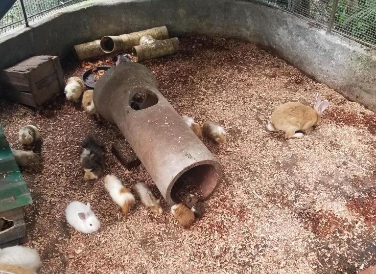 فندق Waterfall El Paraíso   Cabañas, Jacuzzi, Piscina Y Cascada En Medio De La Naturaleza