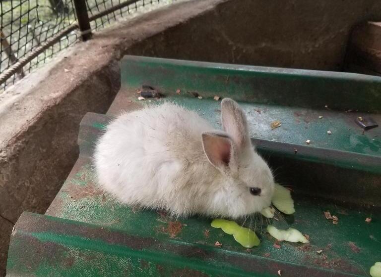 فندق Waterfall El Paraíso   Cabañas, Jacuzzi, Piscina Y Cascada En Medio De La Naturaleza