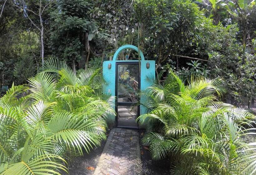 فندق Waterfall El Paraíso   Cabañas, Jacuzzi, Piscina Y Cascada En Medio De La Naturaleza