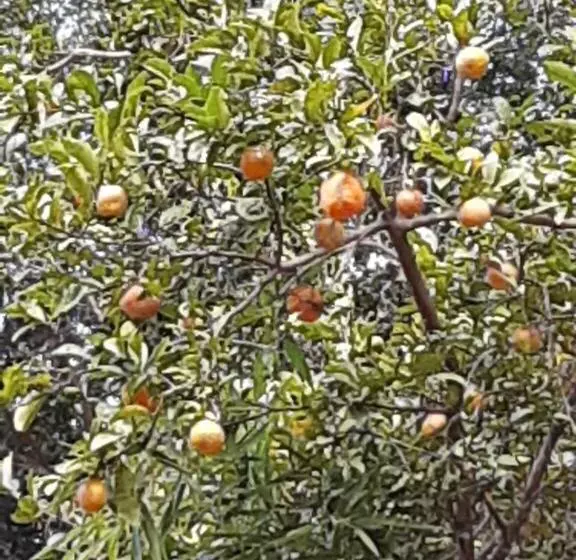 ペンション Pousada águas Da Serra