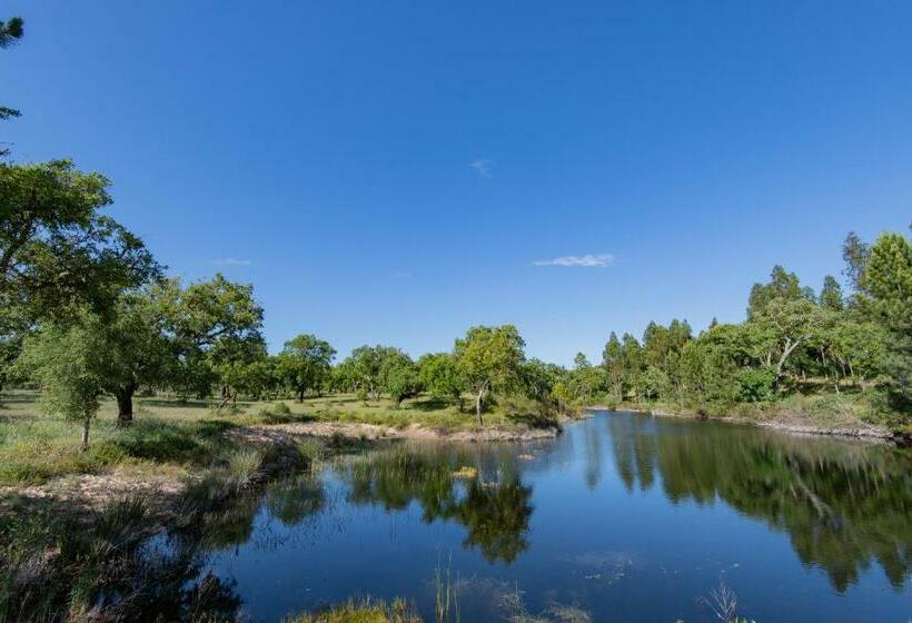 پانسیون Herdade Do Vale Da Abelheira By Mystay