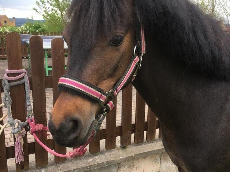 فندق Ferienhof Hofer