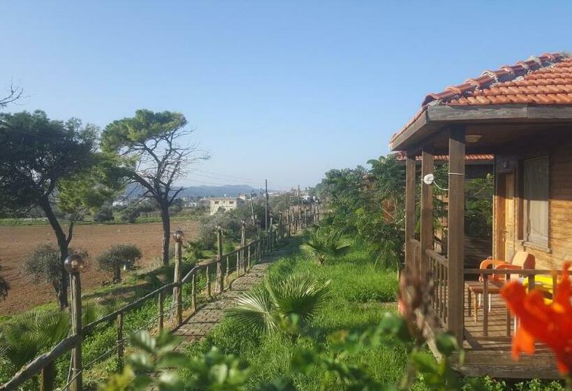 פנסיון Karpaz Farm Guest House