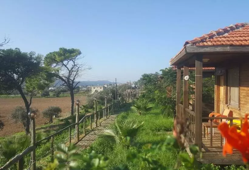 Majatalo Karpaz Farm Guest House