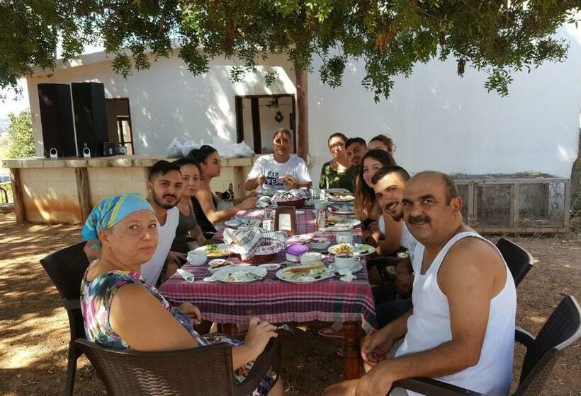 פנסיון Karpaz Farm Guest House