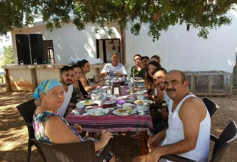 Majatalo Karpaz Farm Guest House