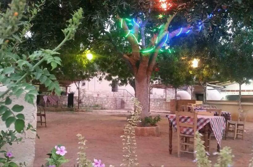 פנסיון Karpaz Farm Guest House