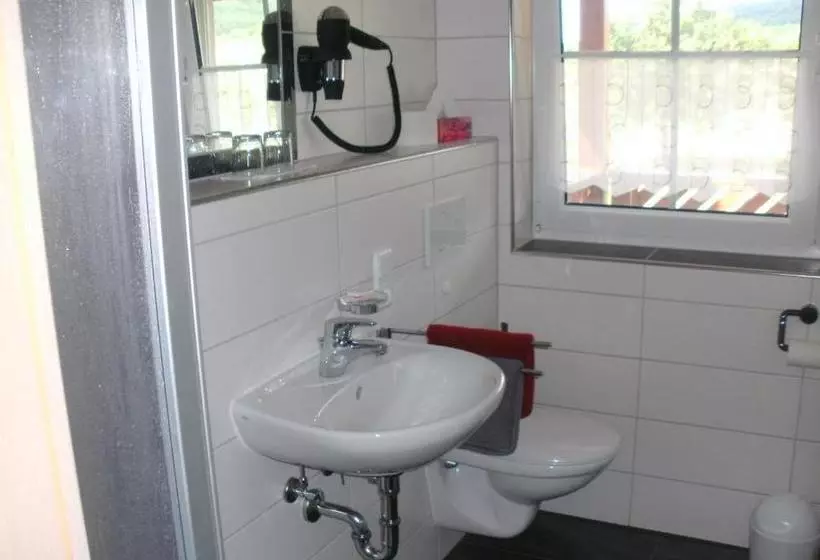 Pension Zur Traube 3 Sterne