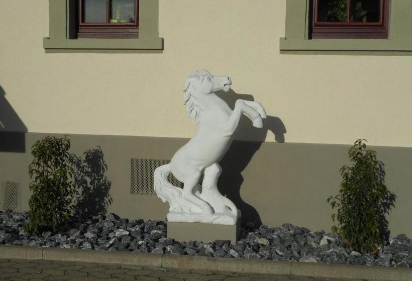 Pension Zur Traube 3 Sterne