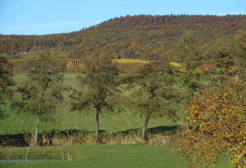 Pension Zur Traube 3 Sterne