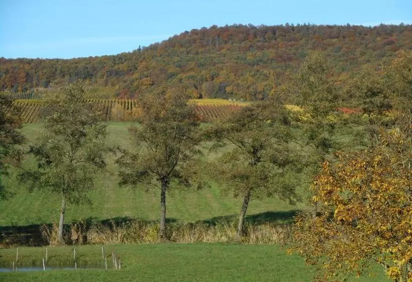 Pension Zur Traube 3 Sterne