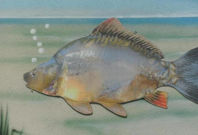 Pension Zur Traube 3 Sterne