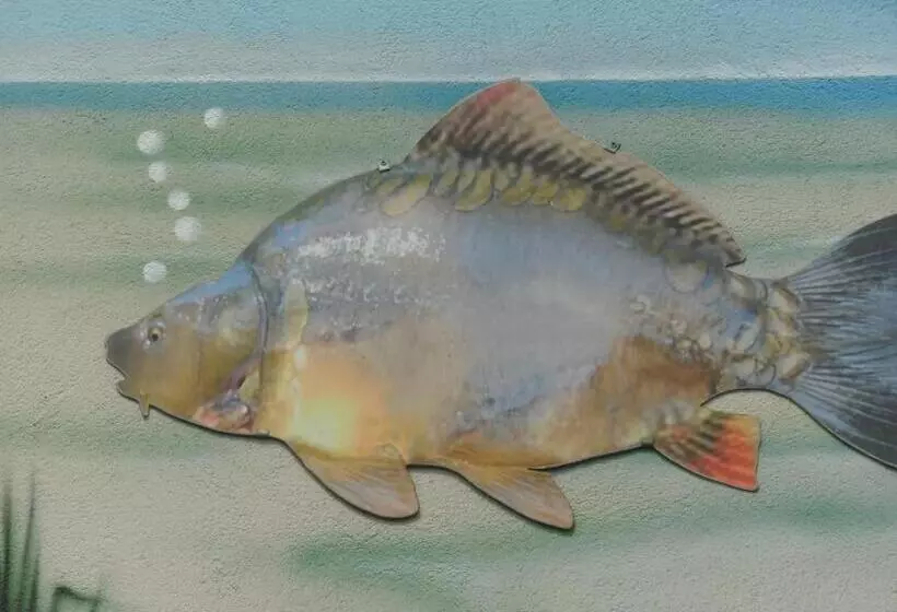 Pension Zur Traube 3 Sterne