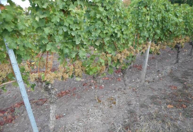 Pension Zur Traube 3 Sterne