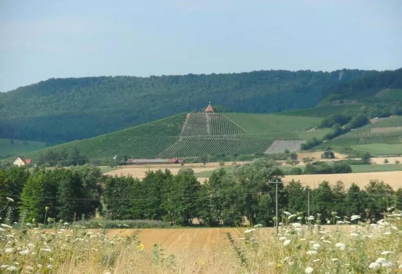 Pension Zur Traube 3 Sterne