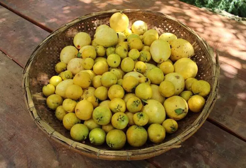 Retkeilymaja Pousada Vilarejo Das Oliveiras