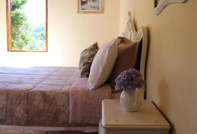 旅馆 Pousada Vilarejo Das Oliveiras