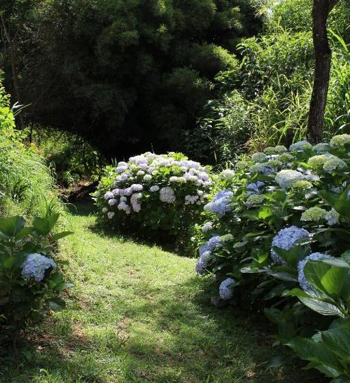 旅馆 Pousada Vilarejo Das Oliveiras