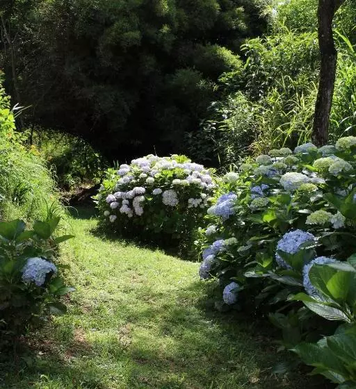 Retkeilymaja Pousada Vilarejo Das Oliveiras