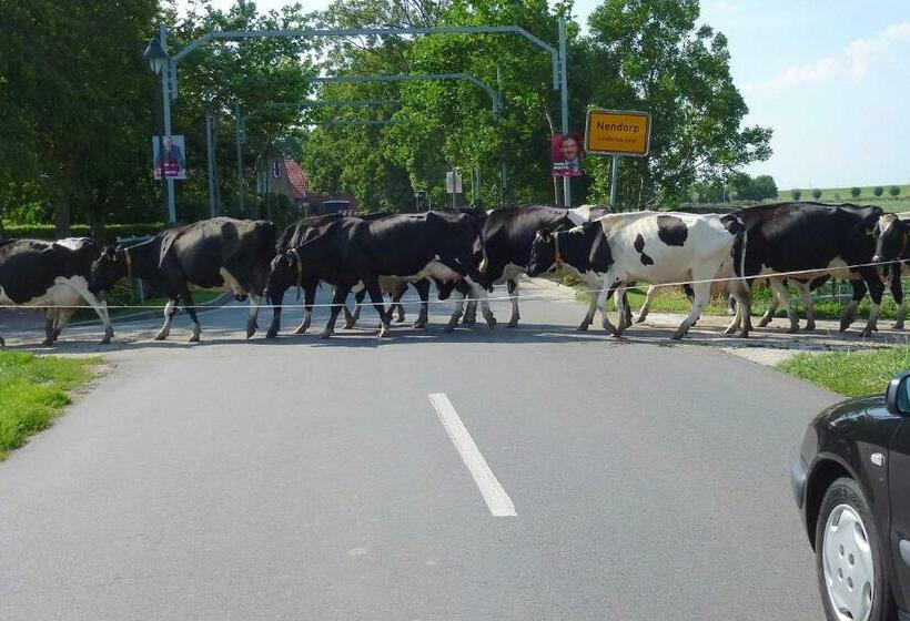 בית מלון כפרי Ferienhof Van Vlyten_ 45006
