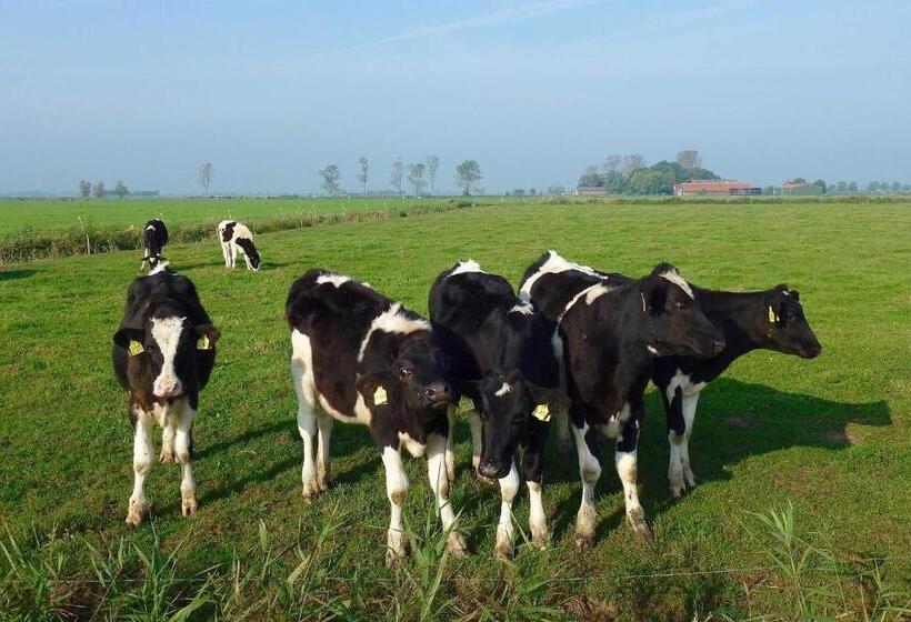 בית מלון כפרי Ferienhof Van Vlyten_ 45006