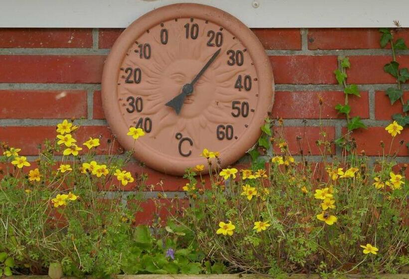 בית מלון כפרי Ferienhof Van Vlyten_ 45006