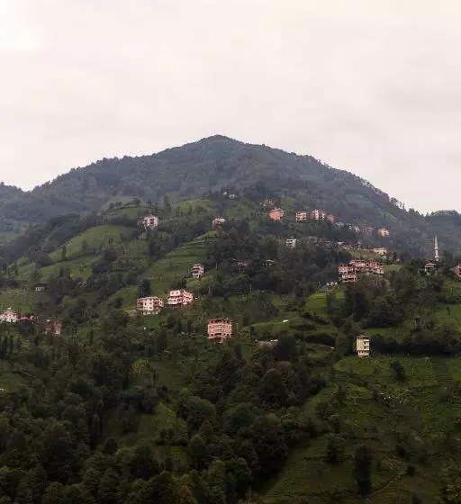 ホテル Kayi Pansi̇yon