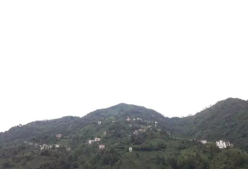 ホテル Kayi Pansi̇yon