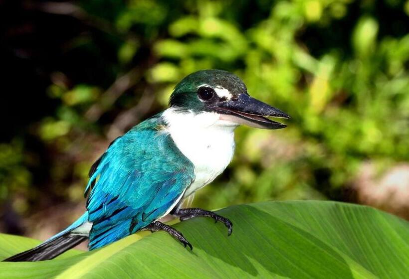 אתר נופש Ira Bungalows Pulau Banyak