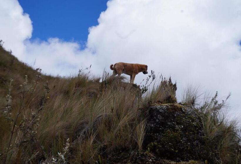 Hostel Hostería Cabañas Del Pescador