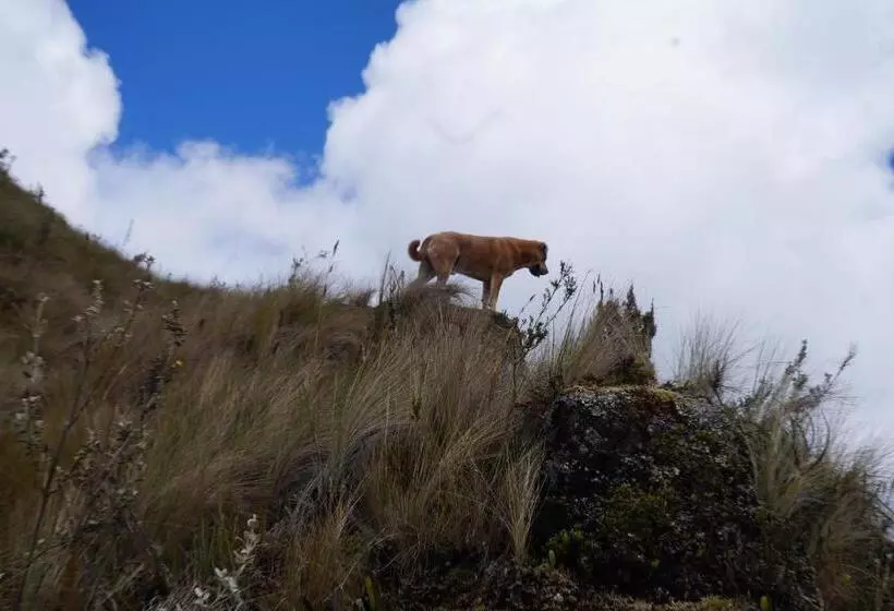 Retkeilymaja Hostería Cabañas Del Pescador