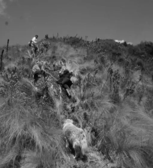 Retkeilymaja Hostería Cabañas Del Pescador