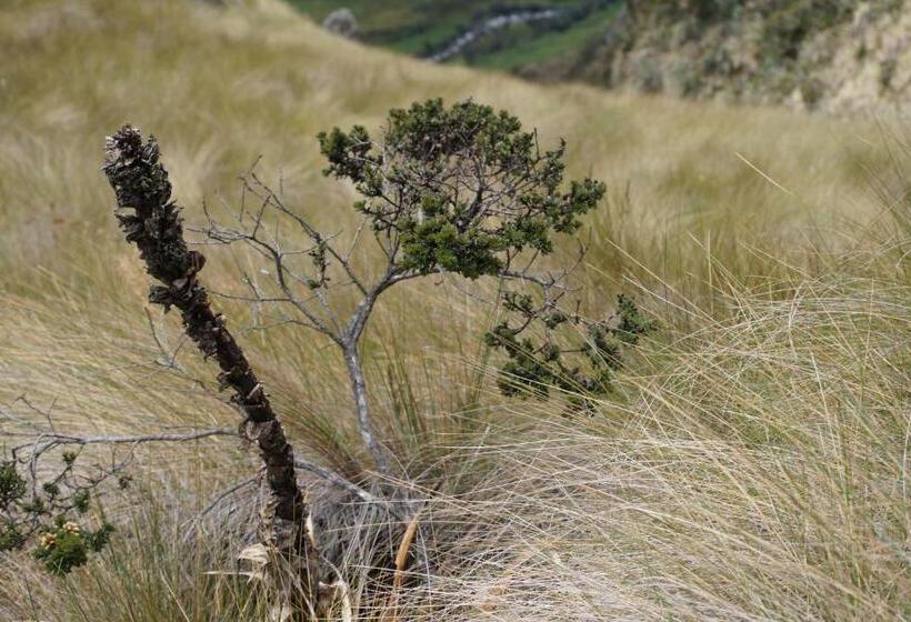 Hostel Hostería Cabañas Del Pescador