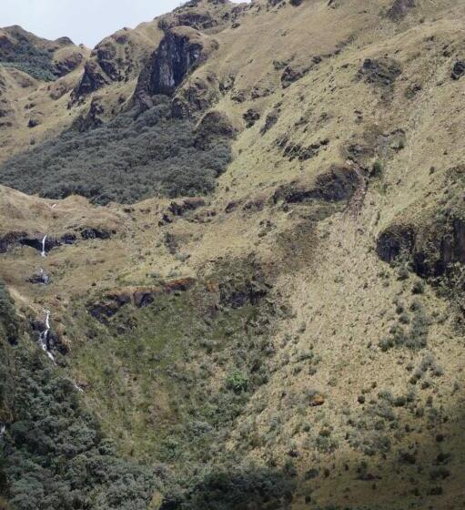 Hostel Hostería Cabañas Del Pescador