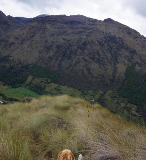 Hostel Hostería Cabañas Del Pescador