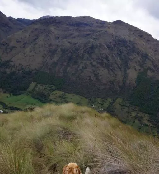 Retkeilymaja Hostería Cabañas Del Pescador