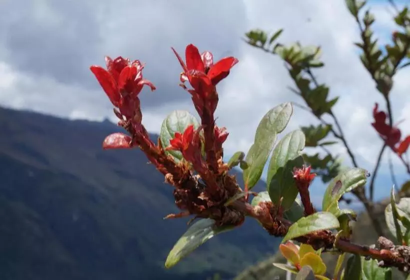 Retkeilymaja Hostería Cabañas Del Pescador
