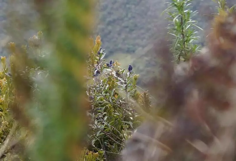 Retkeilymaja Hostería Cabañas Del Pescador