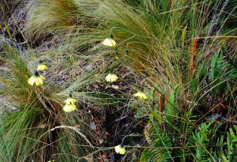 Retkeilymaja Hostería Cabañas Del Pescador