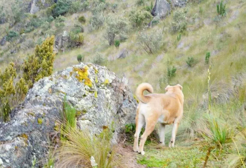 Retkeilymaja Hostería Cabañas Del Pescador