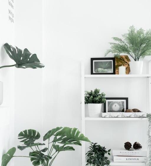 هاستل Studio 41 Salayasai4