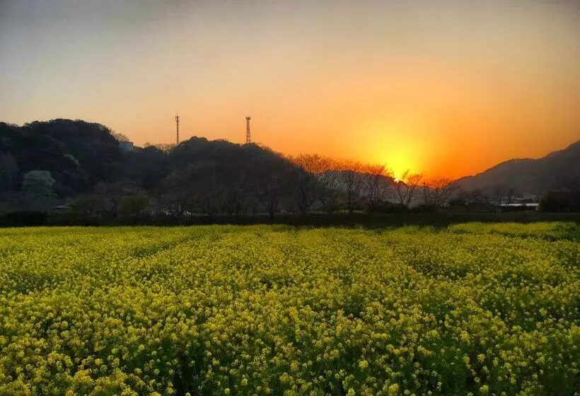 Aamiaismajoitus (B&B) Oli Oli Guesthouse