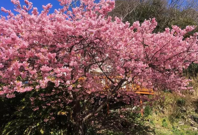 Aamiaismajoitus (B&B) Oli Oli Guesthouse