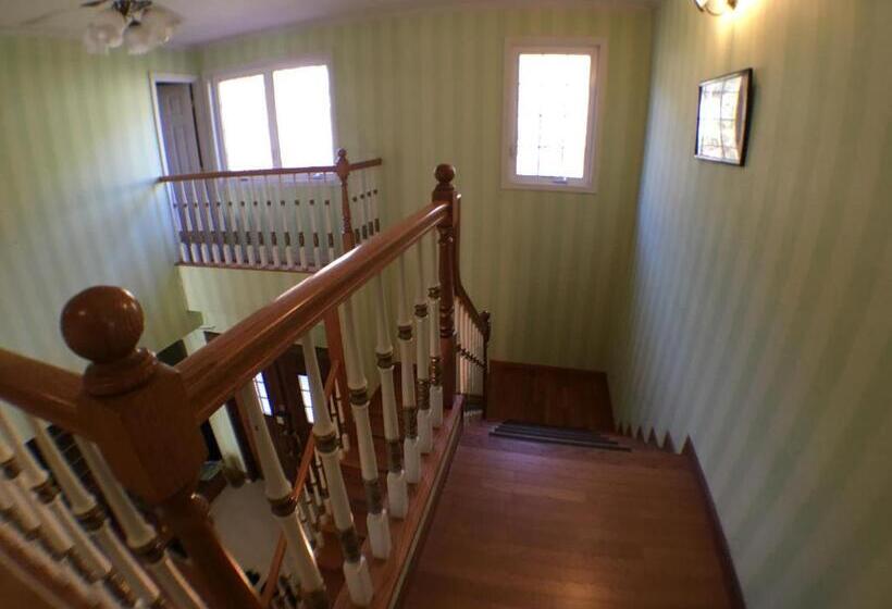 مبيت وإفطار Oli Oli Guesthouse