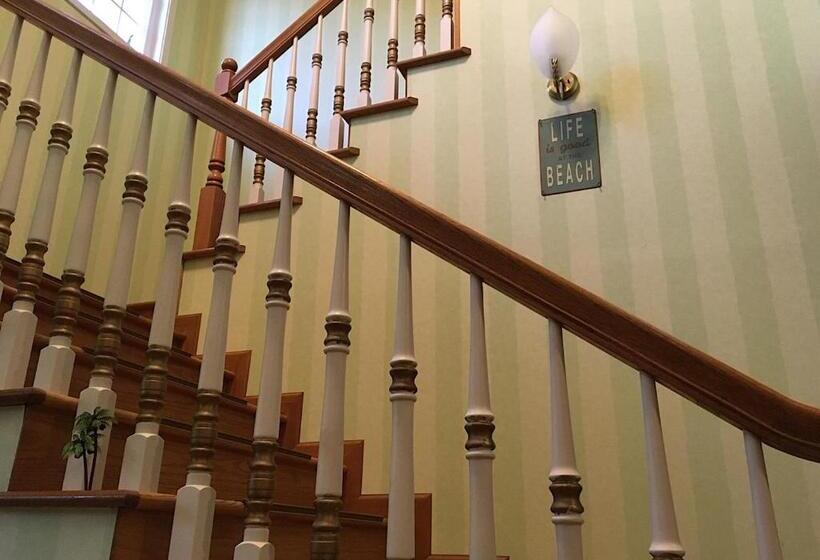 مبيت وإفطار Oli Oli Guesthouse